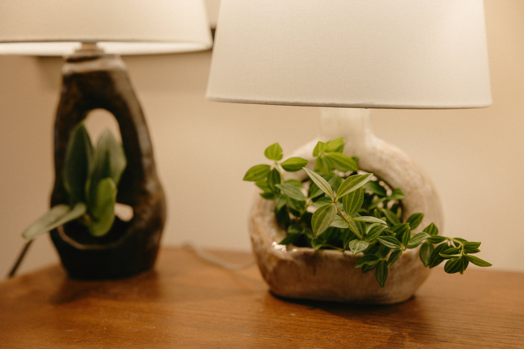 Planter x Lamp : Plamp