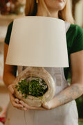 Planter x Lamp : Plamp